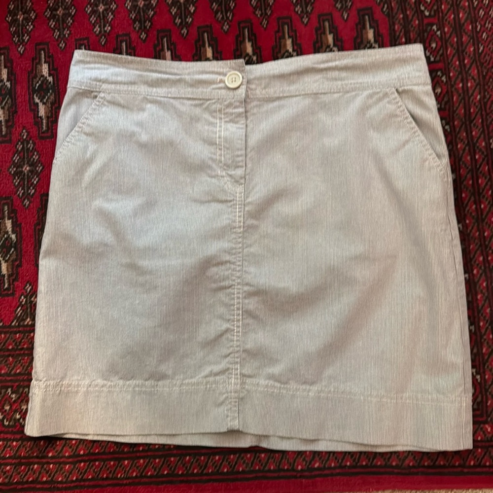 Loft mini skirt